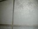 2009030905.jpg