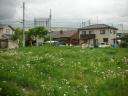2009050703.jpg