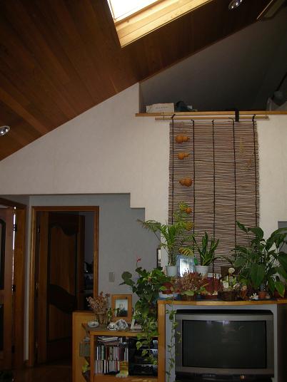 2010050803.jpg