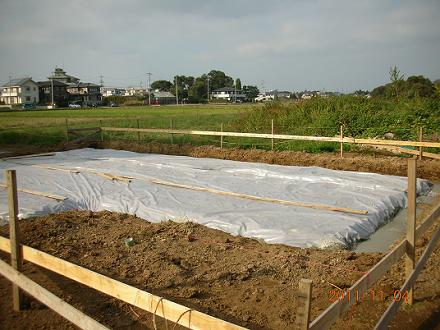2011110503.jpg