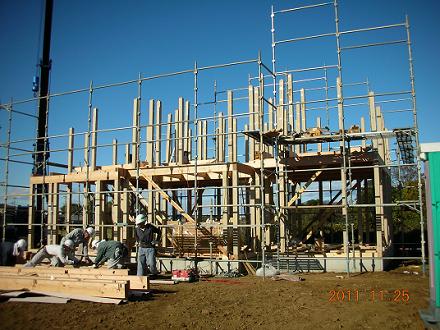 20111126.jpg