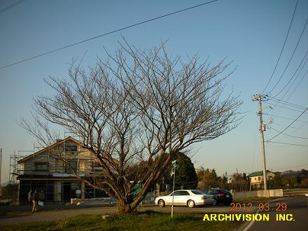 20120329.jpg