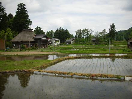 2012060501.jpg