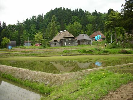 2012060502.jpg