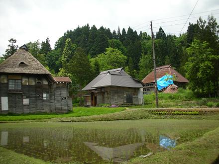 2012060503.jpg