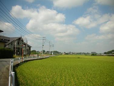 2012082301.jpg