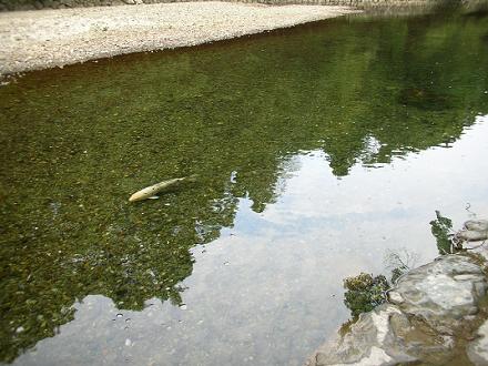 2013100303.jpg