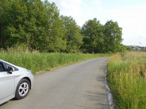 DSCN1033