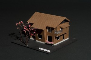 Img0353