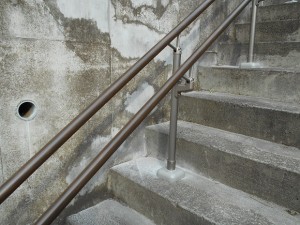 DSCN1516
