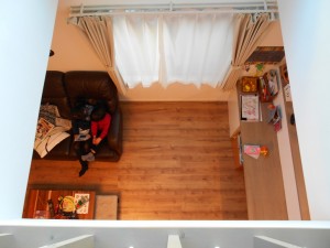 DSCN1556