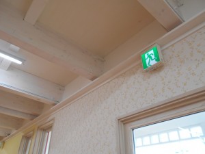 DSCN1634