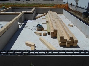 DSCN1790