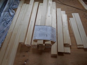 DSCN1866