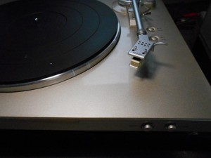DSCN2100