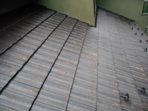 DSCN2141