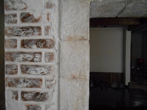 DSCN0113