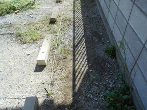 DSCN0324