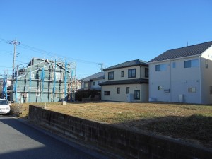 DSCN1154