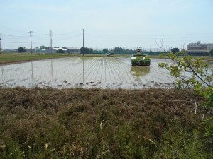 DSCN1733