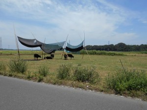 DSCN0283