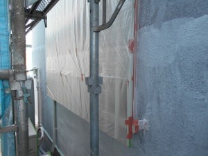 DSCN1203