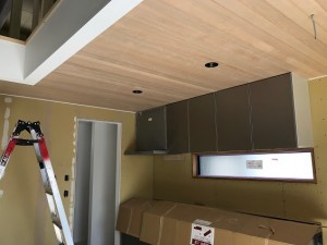 IMG_1931