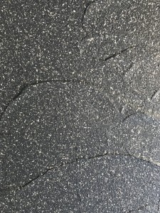 IMG_4479