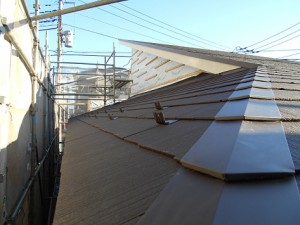 DSCN0939